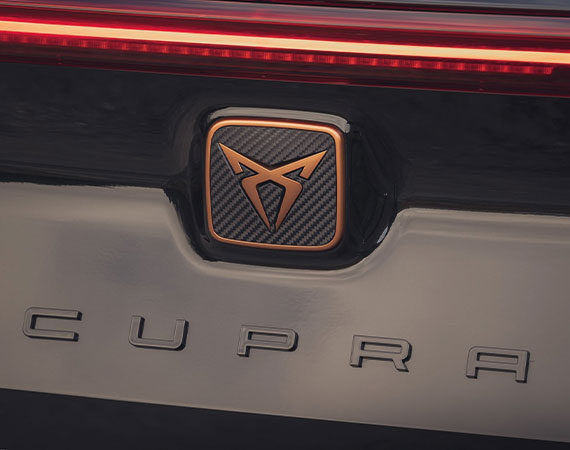 Repair Authenticity Guarantee